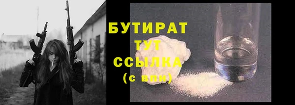 индика Надым