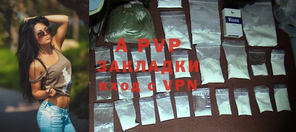 индика Надым