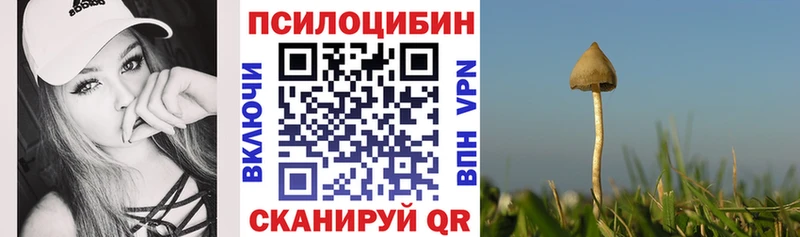 купить наркотик  Октябрьск  Псилоцибиновые грибы Psilocybe 